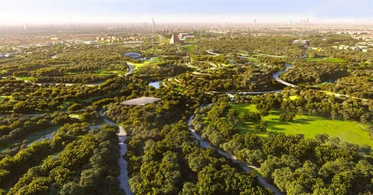 King Salman Park landscaping
